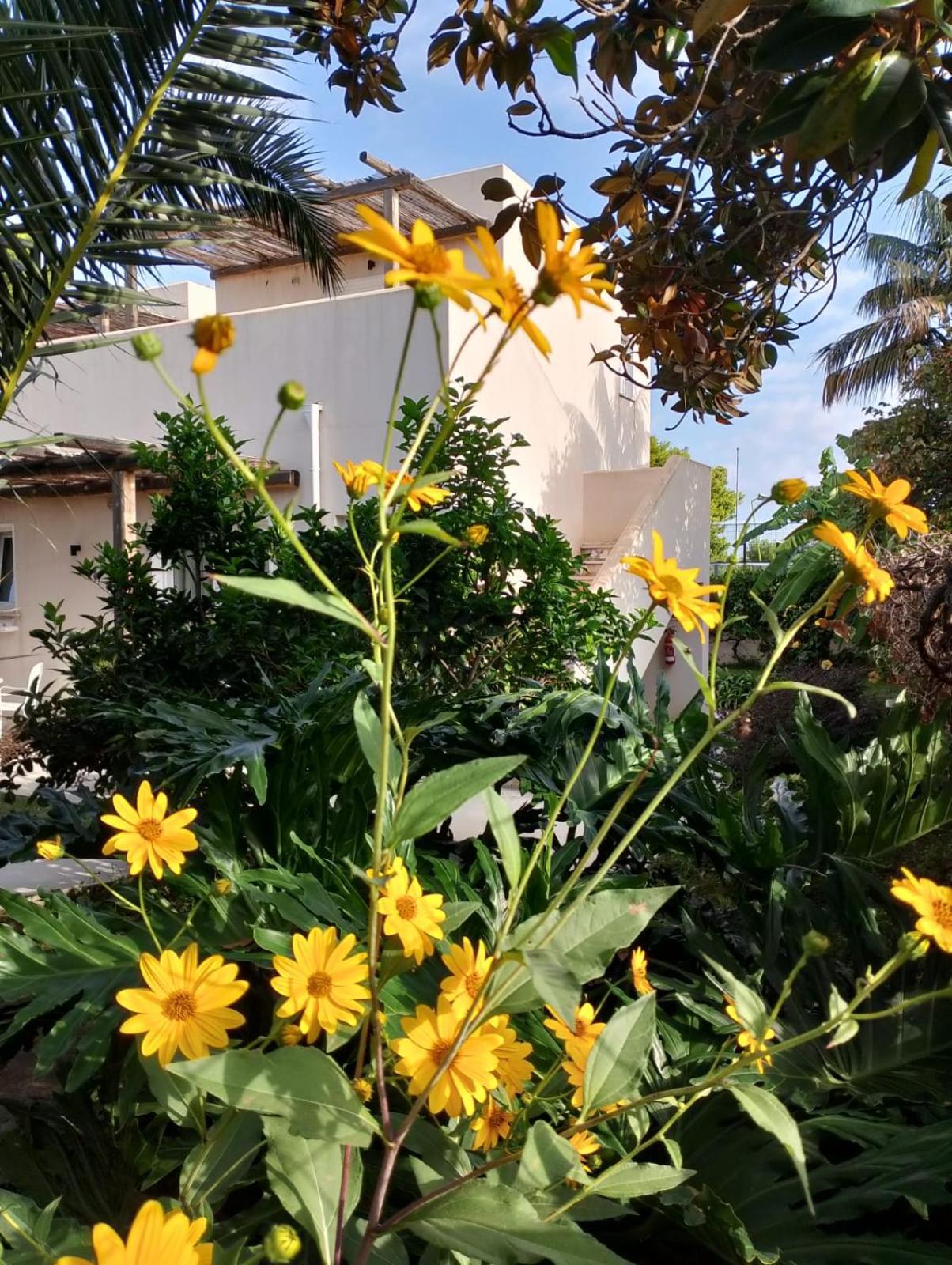 Casa Cunaci Bed And Breakfast Capo Vaticano Exterior foto